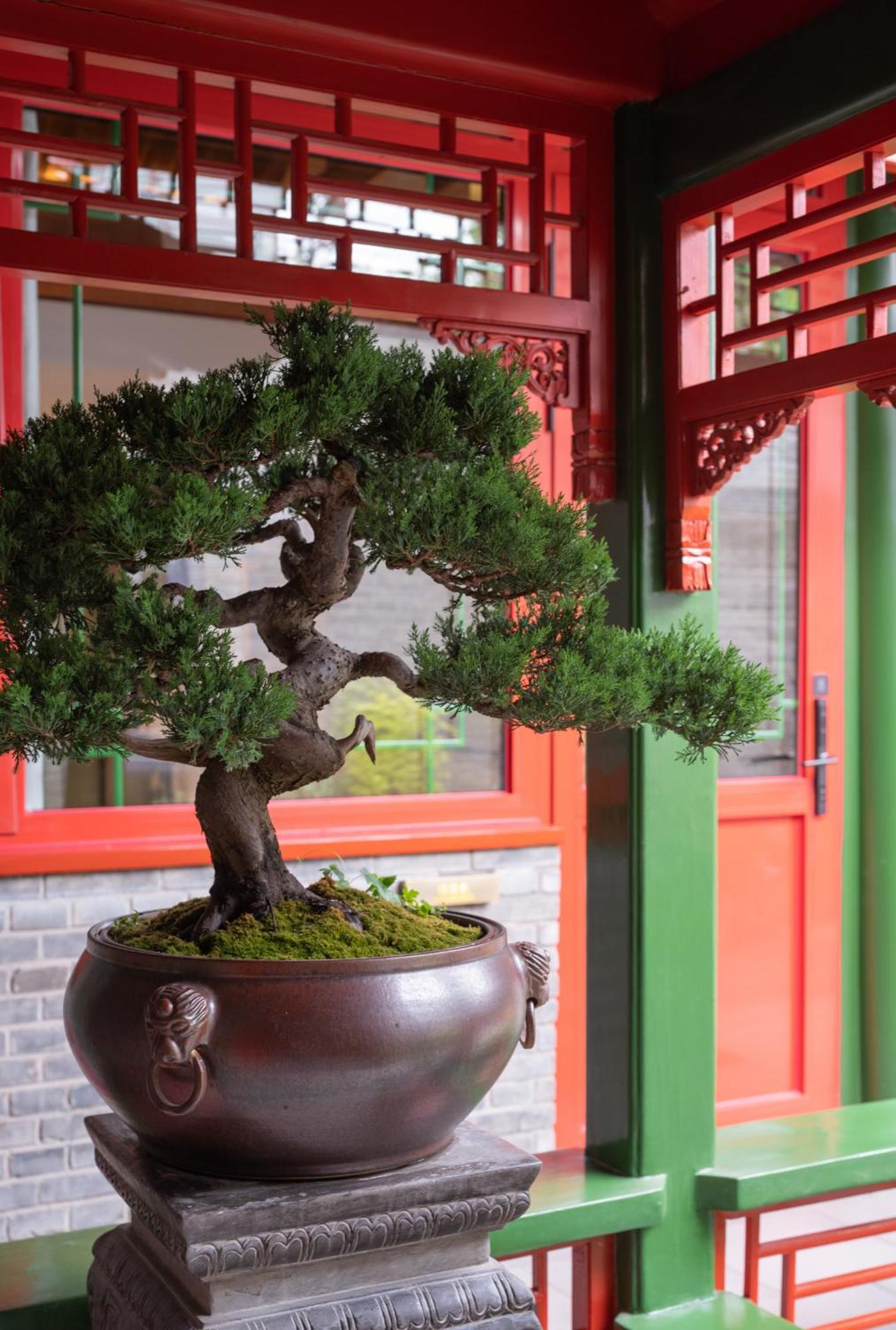 Xinxiang Yayuan Beijing Sihe Courtyard With Sky Garden Terrace Near Tiananmen Square Forbidden City Wangfujing Pedestrian Street And The Subway Exterior foto